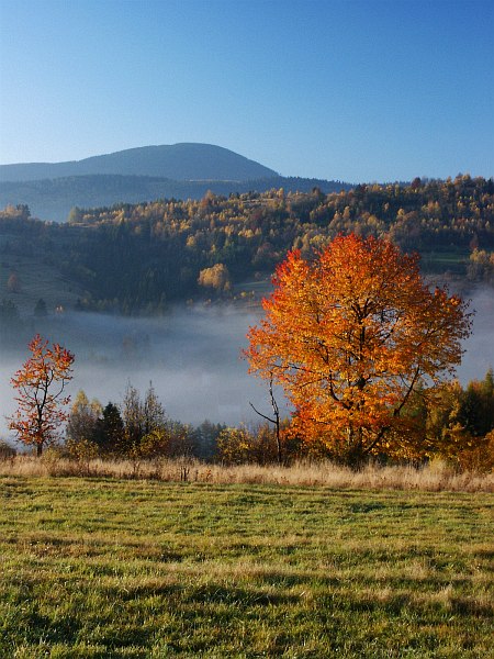 Beskidzka jesień