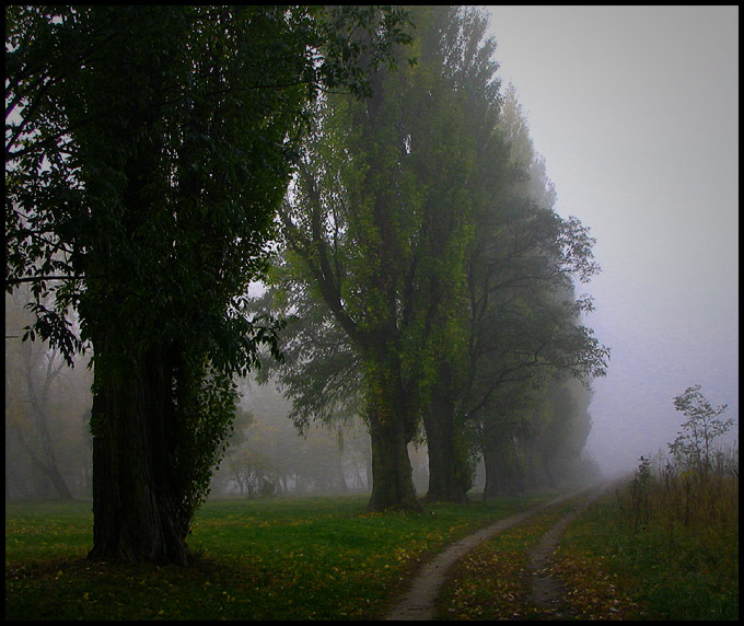 drogą wzdłuż cmentarza