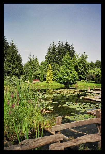 Arboretum Bolestraszyce