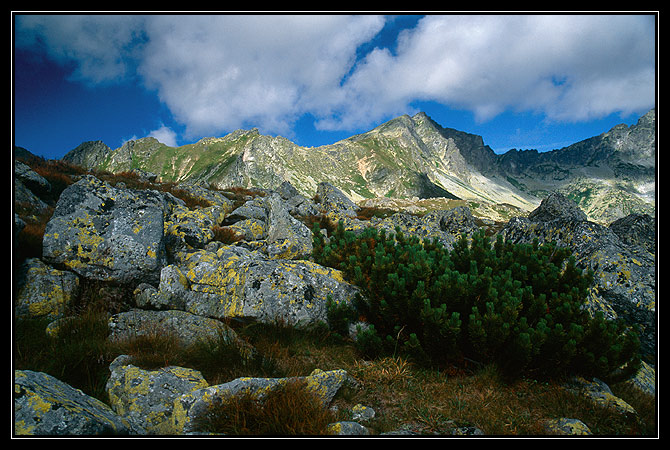 Widok na Koprowy