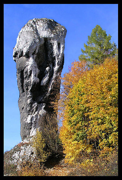 maczug herkulesa