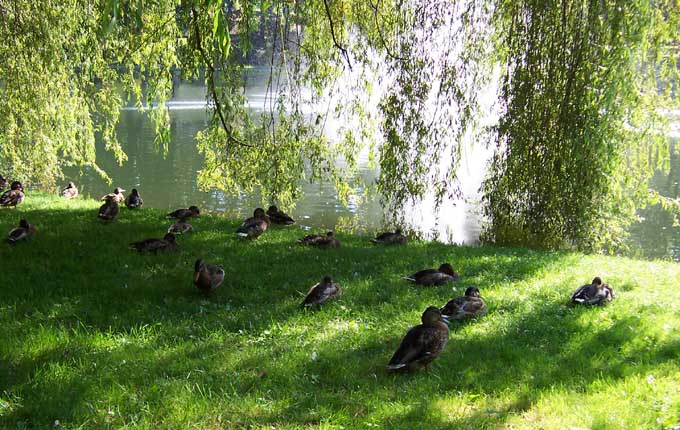 kielce park