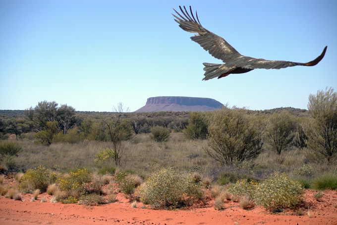 Anangu