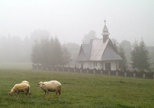 Bańska Niżna k/Zakopanego