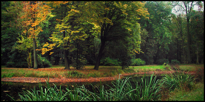 zwykły - niezwykły park miejski