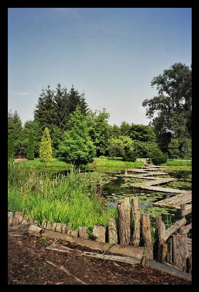 Arboretum Bolestraszyce vol.2