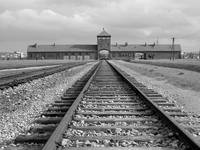 Birkenau