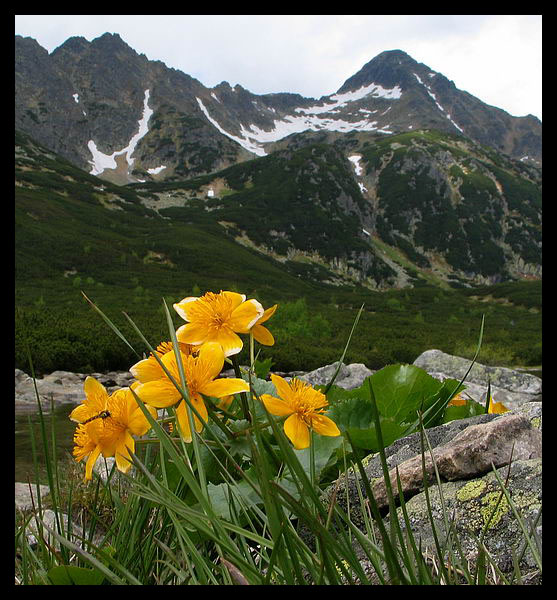 Tatry Słowackie