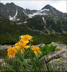 Tatry Słowackie