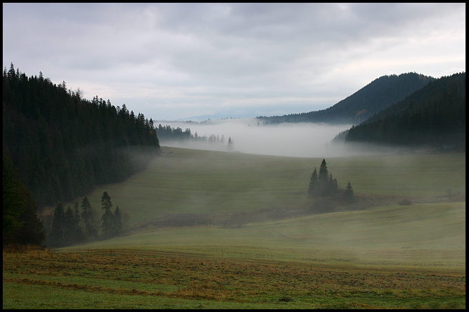 Moja dolina