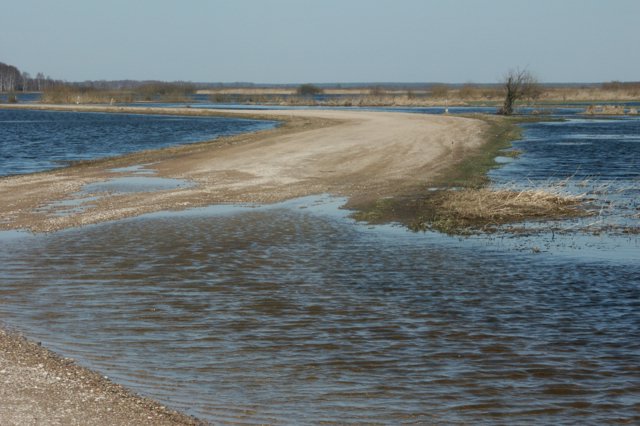 Biebrza wiosną