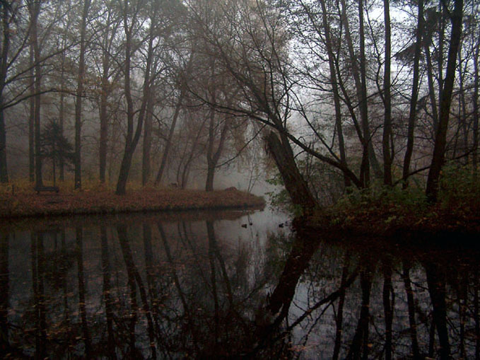 Park o zmierzchu