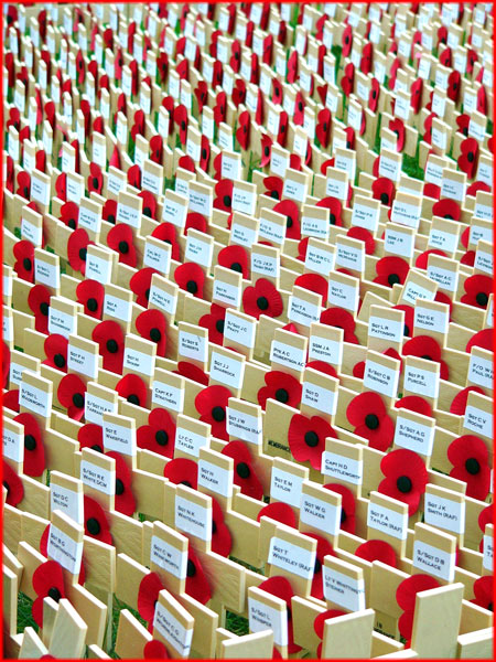 Poppies in Westminster Abbey