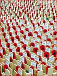 Poppies in Westminster Abbey