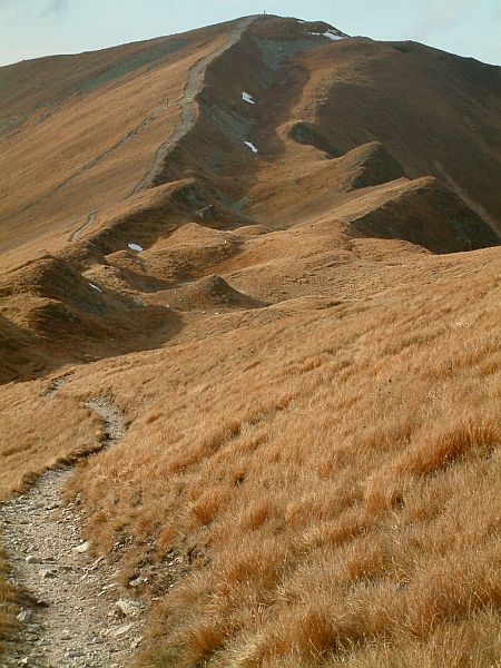 górska rdza