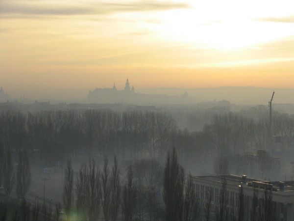 Wawel w porannej mgle