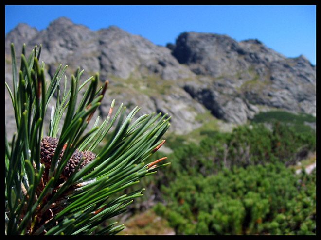 Tatry...