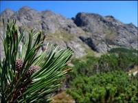 Tatry...