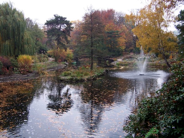 Wrocław - Ogród Botaniczny