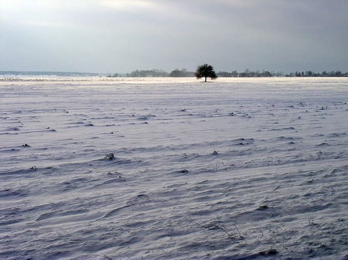 Pierwszy śnieg 1/2