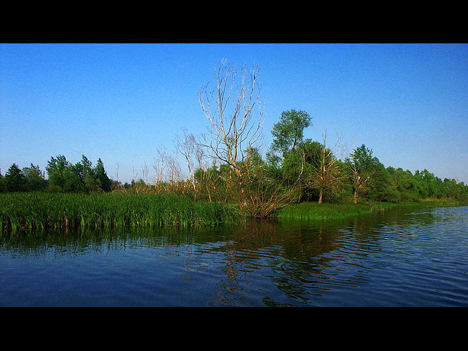 centralne wspomnienie lata