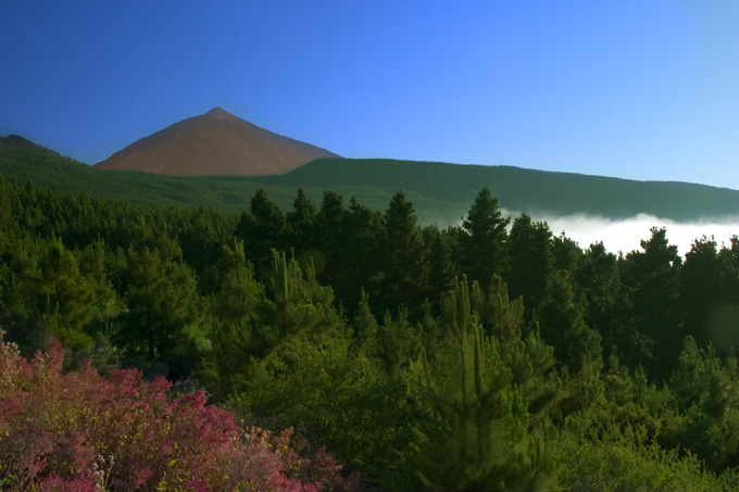 Teide