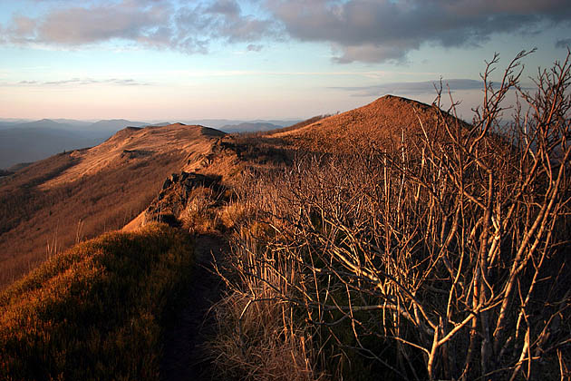 Bieszczady #6 Bukowe Berdo