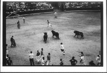 San Fermines 2003