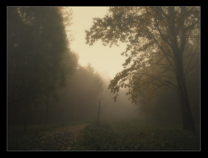 Oświęcim - Park