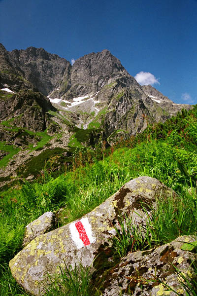 Tatry #01