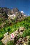 Tatry #01