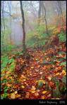 Appalachian Trail - Smoky Mountains