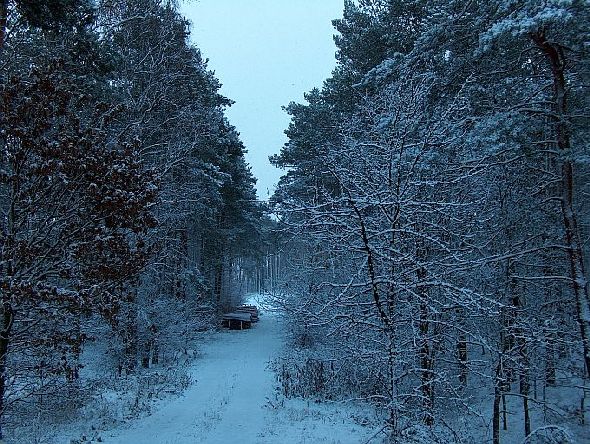 PIERWSZE CHŁODY