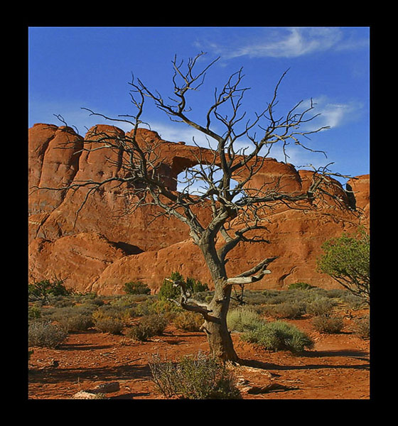 Arch national Park