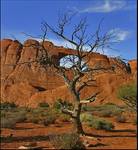 Arch national Park