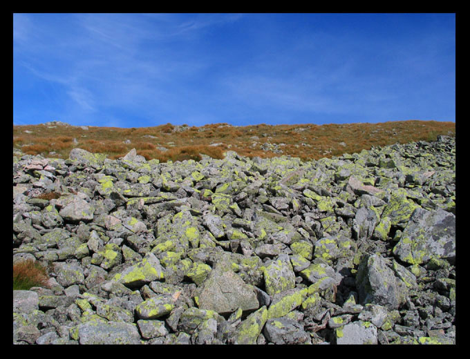 Tatry - porosty