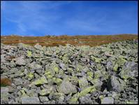 Tatry - porosty