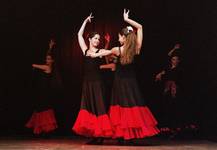 flamenco1