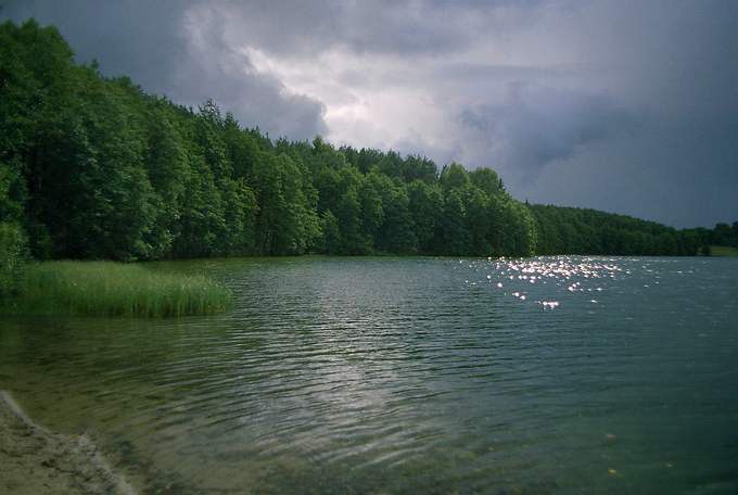 całkiem jak kobieta