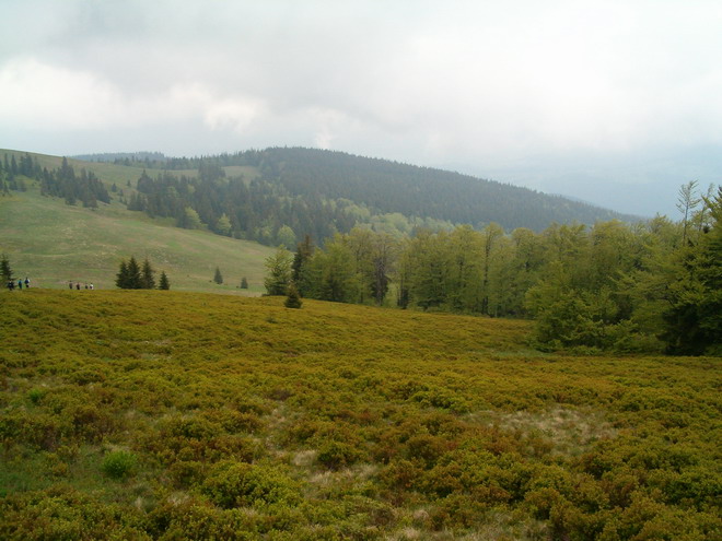 Góry 1