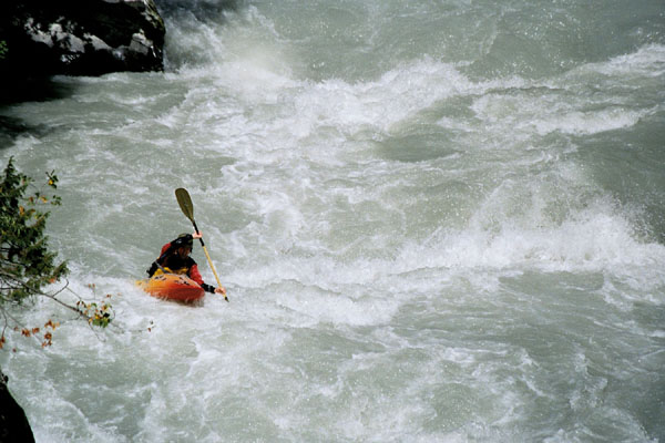  wild, white, water