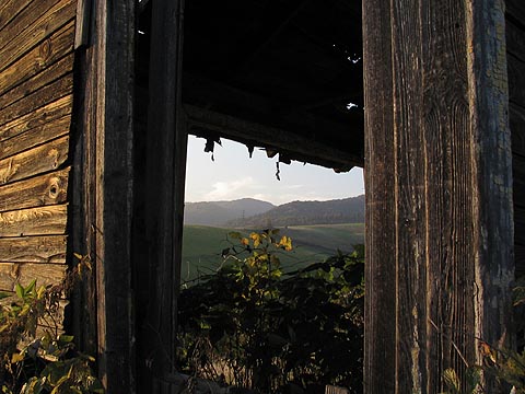 Widok na Muszyne