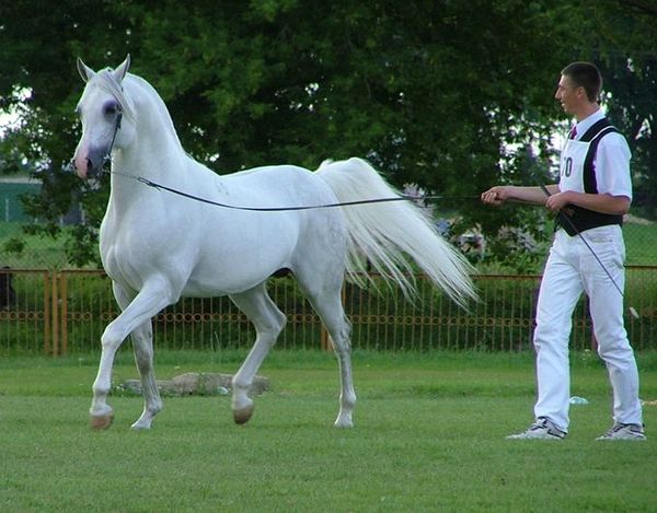 Bełżyce 2004