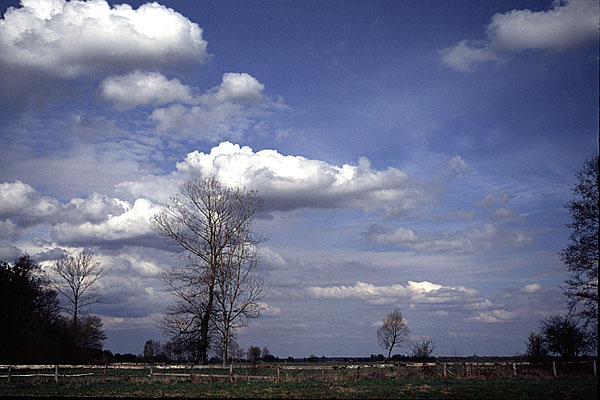 spokój