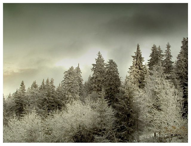 Winter in mountains