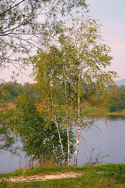 Nad wodą - Kryspinów k/Krakowa