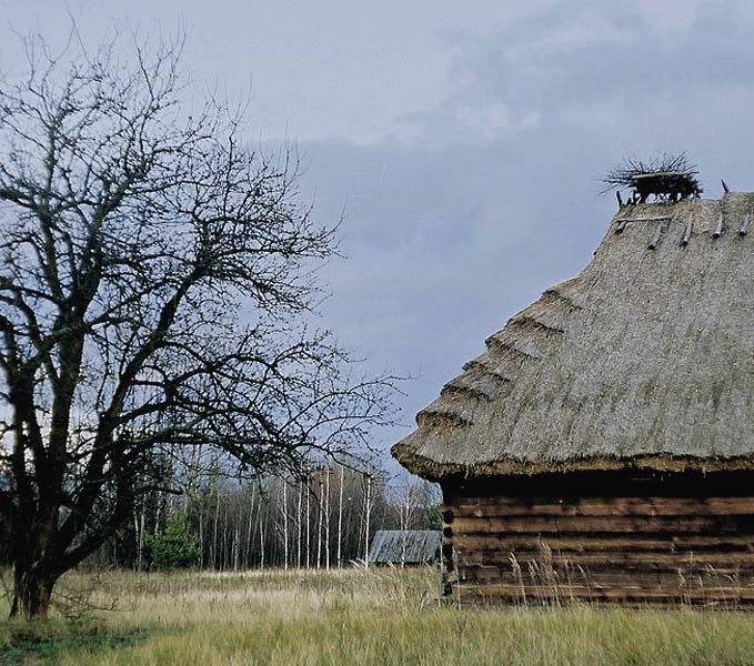 czekając na bociany