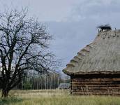 czekając na bociany