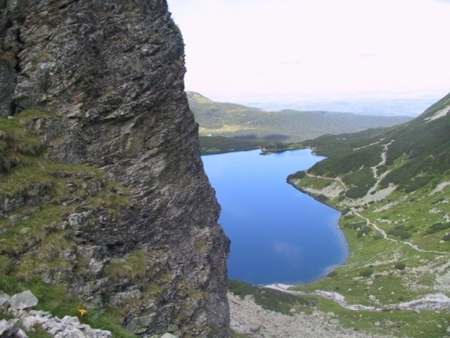 Wójciak Dominik