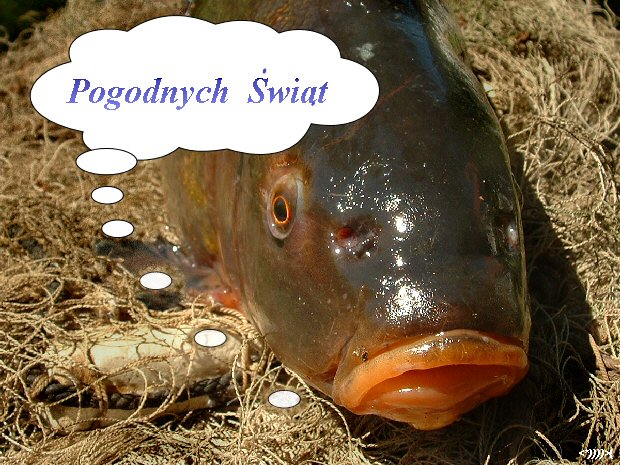 Pogodnych Świąt